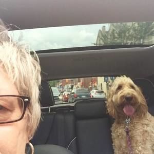 Meet your Posher, Judi